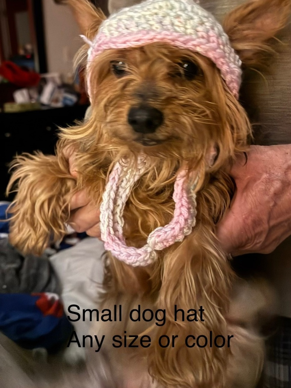 Doggy homemade hat